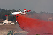 Burning Tree Fire