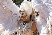 Colorado Renaissance Festival