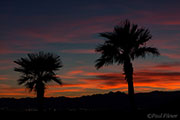 Nevada Sunsets